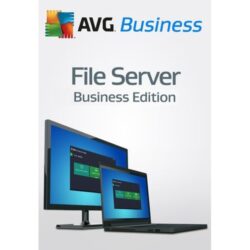 Avg File Server Edition